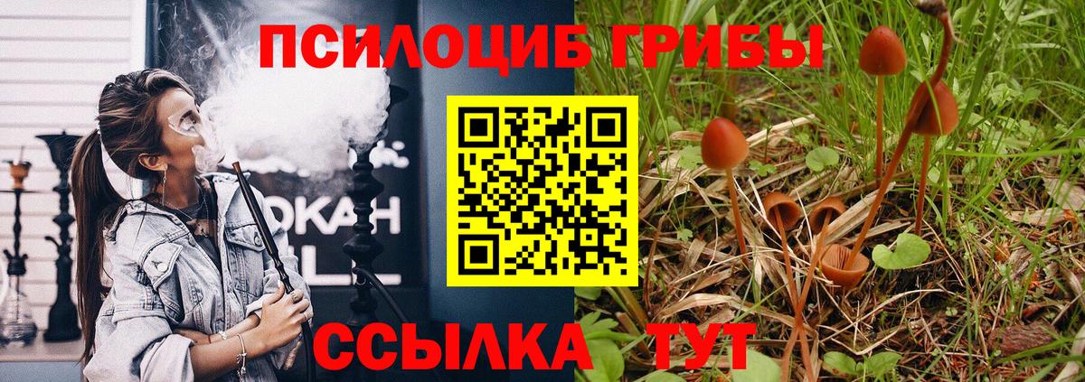 Нарьян-Мар  Псилоцибиновые грибы мицелий  Вход с VPN 